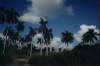 thm_Pict0009.jpg